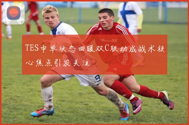 TES中单状态回暖双C联动成战术核心焦点引发关注